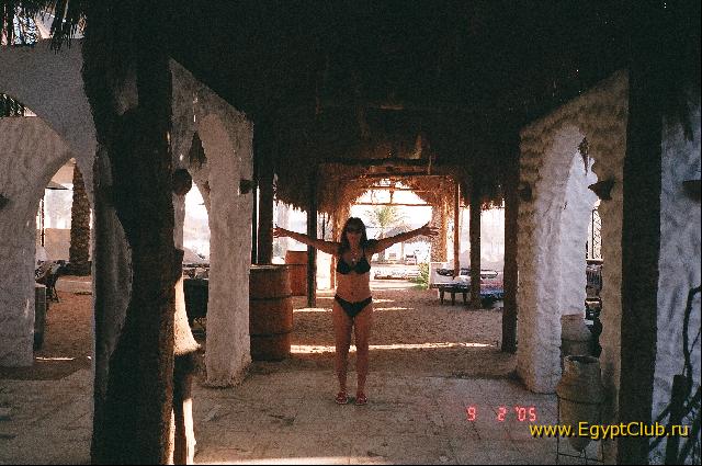 ���� �� ����