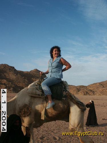 ��� ������� ������