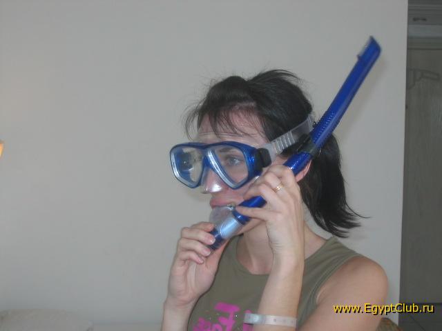 ����� �������� �����