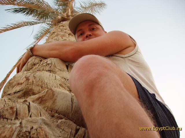 �� �����-�����