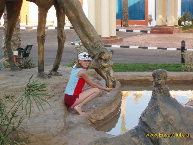 ����� ���� ������