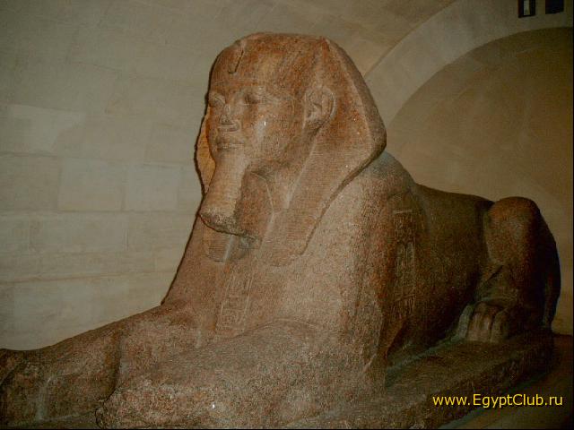 �� ���������� ��������� �����