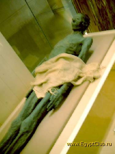 �����, ��� ��� ����.....