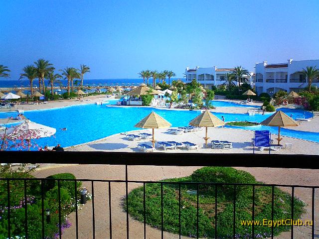 ��� � �������  ������