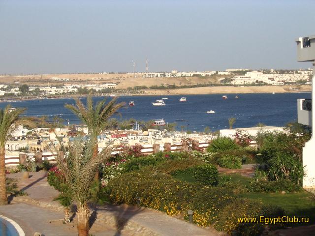 ��� �� ����