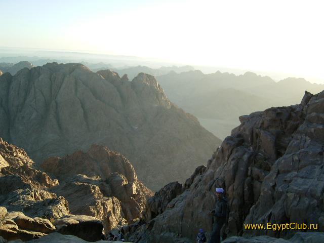 ���� ������