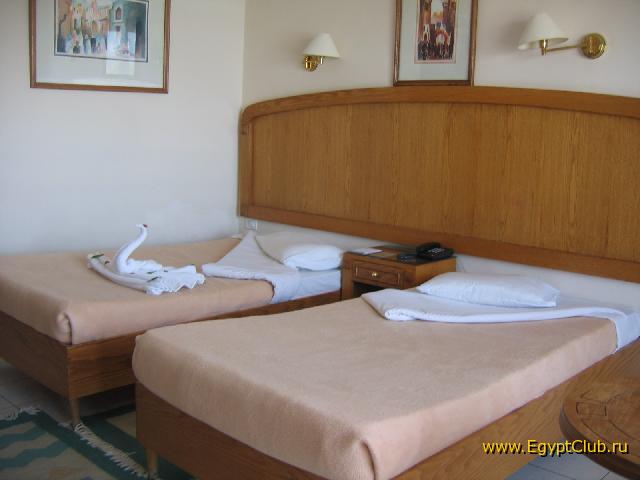  ����� � ����� Calimera****