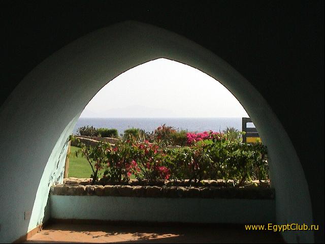 ��� �� ����