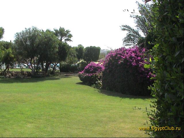 ������ ��������