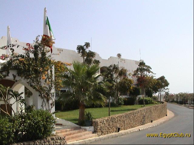 ������ ������