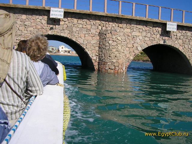 ��� ����