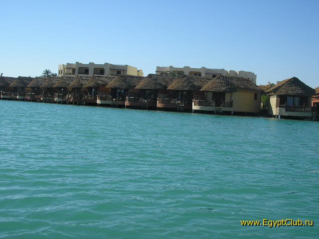 ��� ����