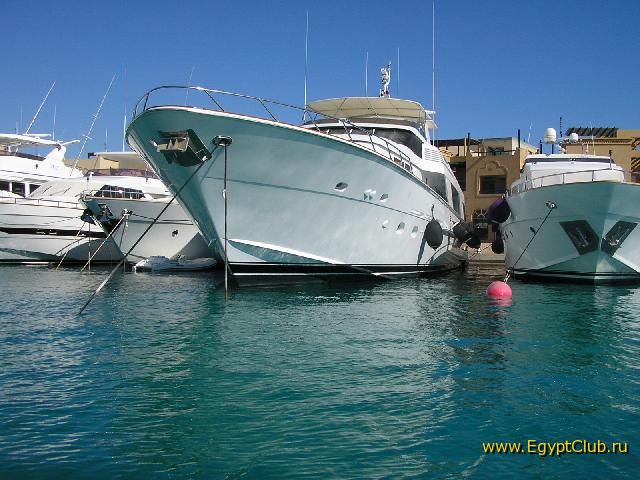 ��� ����