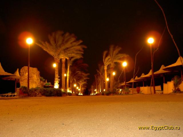 ������. ��� �����.