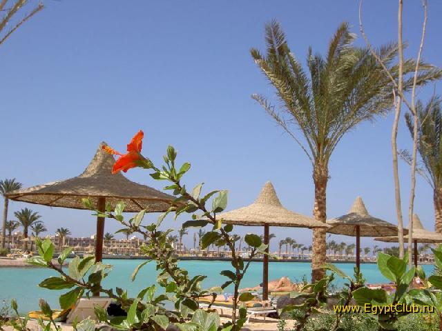 ������. ��� �� �����.