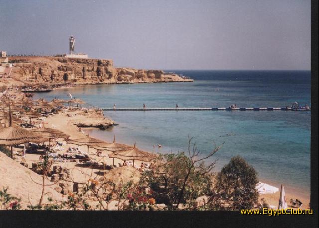 ���� ������ ������