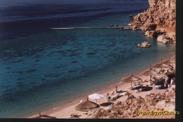 ���� ������ �������