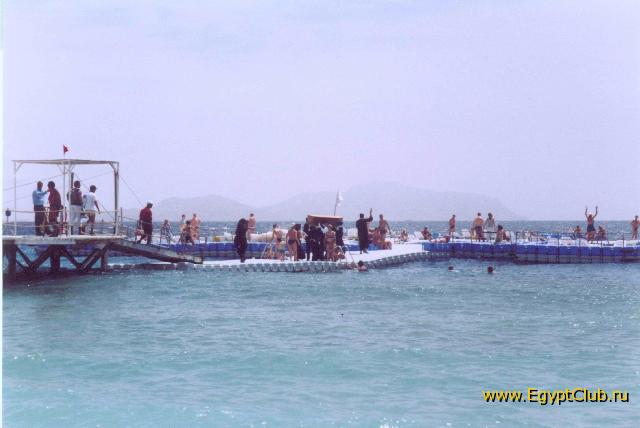 ��������� ����� ����