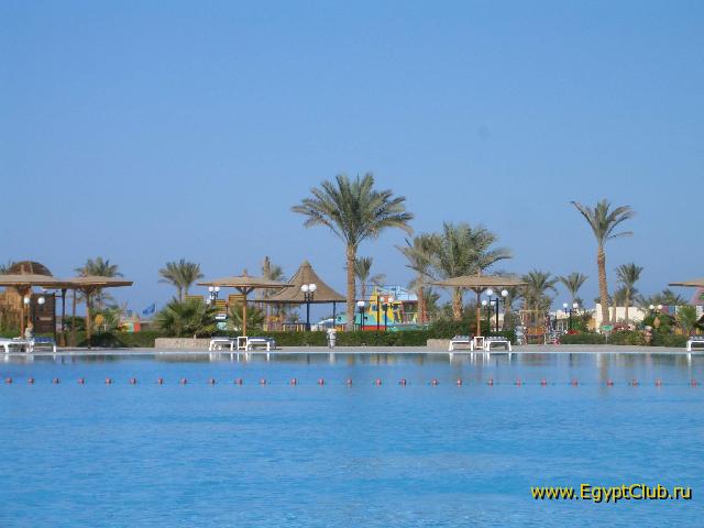 �������. Desert Rose.