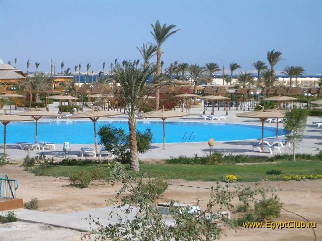 ��� �� ����. Desert Rose.