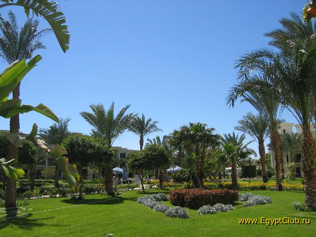 ������_���