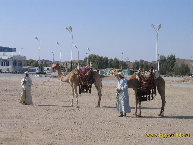 ������� ������