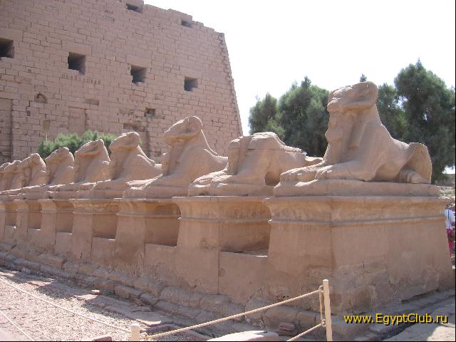 ���������� ����