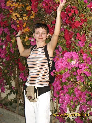 ����� ������