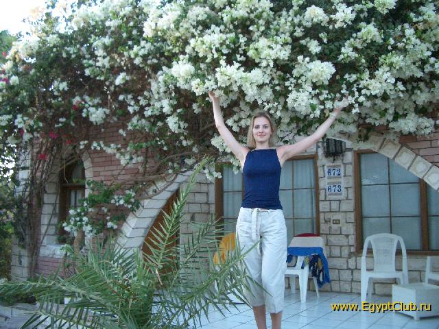 ����� �������� ������� �� ������� �������