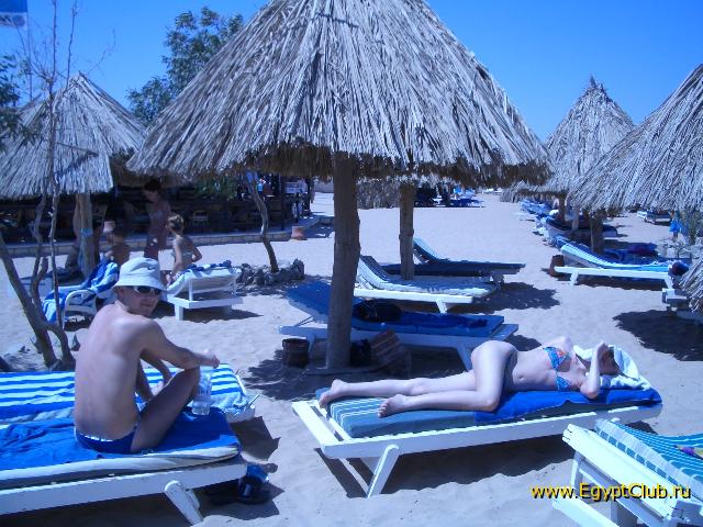 ���� ������