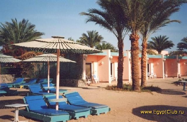 ������� - ���� 004 - ����� � 