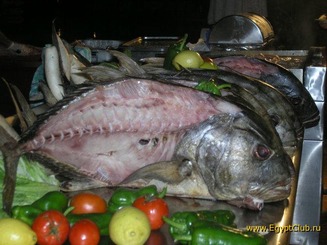 ���� � ������ ���� (���)