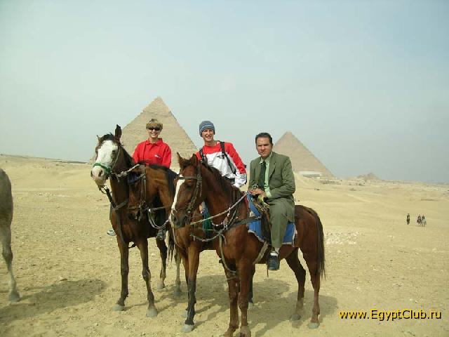 3 ���������