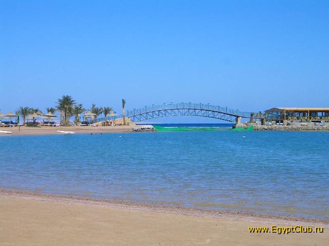 ������.����� Desert Rose