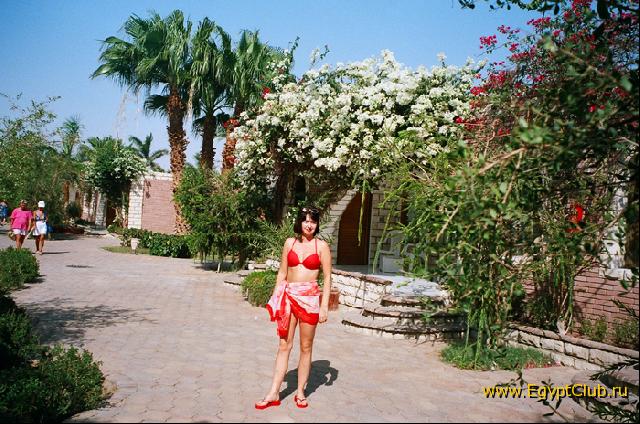 ������� �����