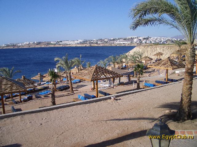 ���� �����