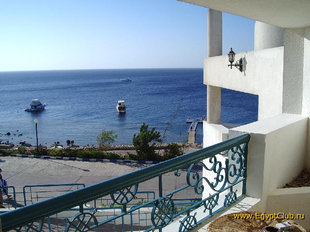 ��� �� ������