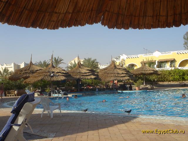 ��� �����....