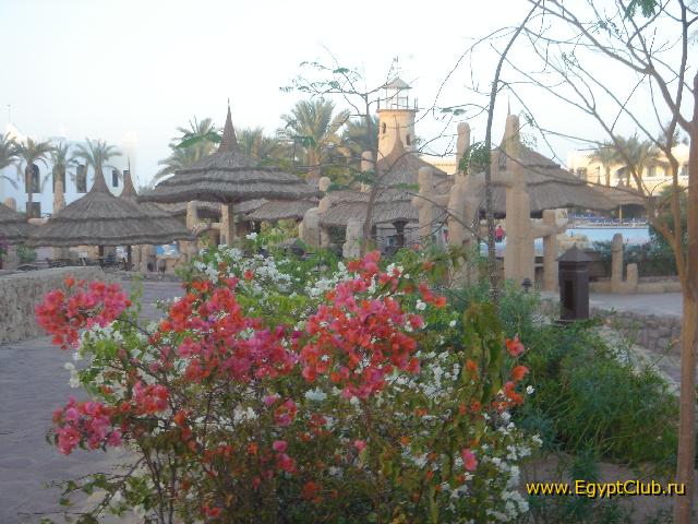 �� ���� � ���� � ������....