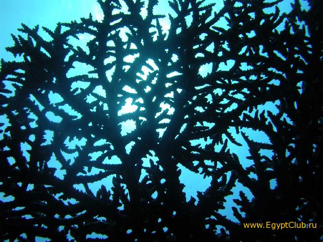 ���� � ��������