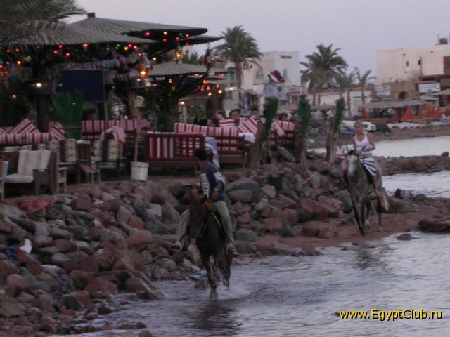 �������� ��������