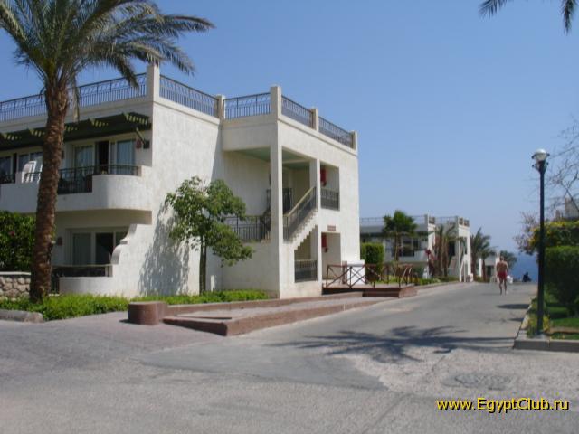 ����� �������