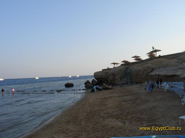 � ���� ����� ������