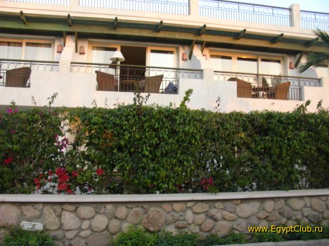 ����� �������