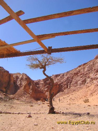 ������� ������