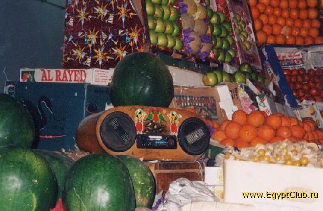 ������� - ���� 008