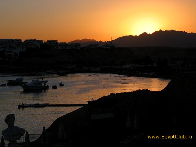 �����. ��� �� Shark Bay