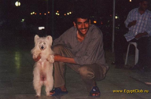 ������� - ���� 011 - ����� � ������� ����, �� � ��� ������ �� ����� ������ :)