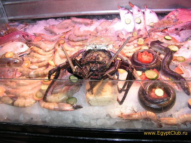 ����-��������