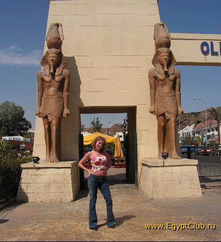 ������ �����